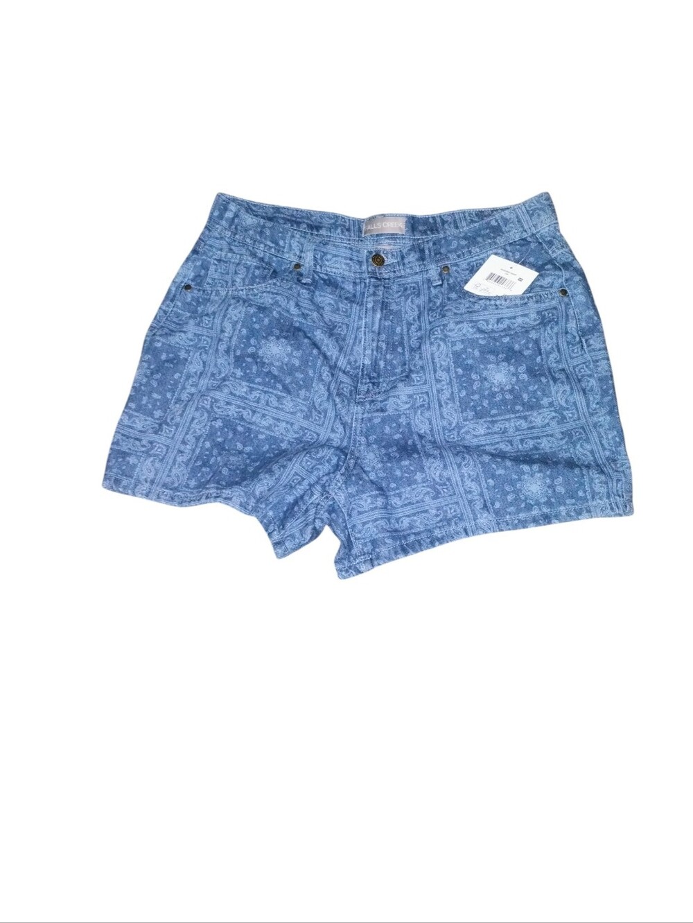 Women's Blue Patterned  Shorts